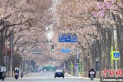 事业添彩共建“花园城市” 北京这场议政会“百花齐放”