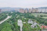 事业添彩西宁市举办六五环境日主题宣传活动